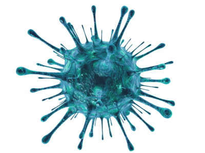 rapid antigen testing finsbury park